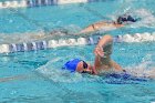 Swimming & Diving vs RWU  Swimming & Diving vs Roger Williams University. - Photo by Keith Nordstrom : Wheaton, Swimming